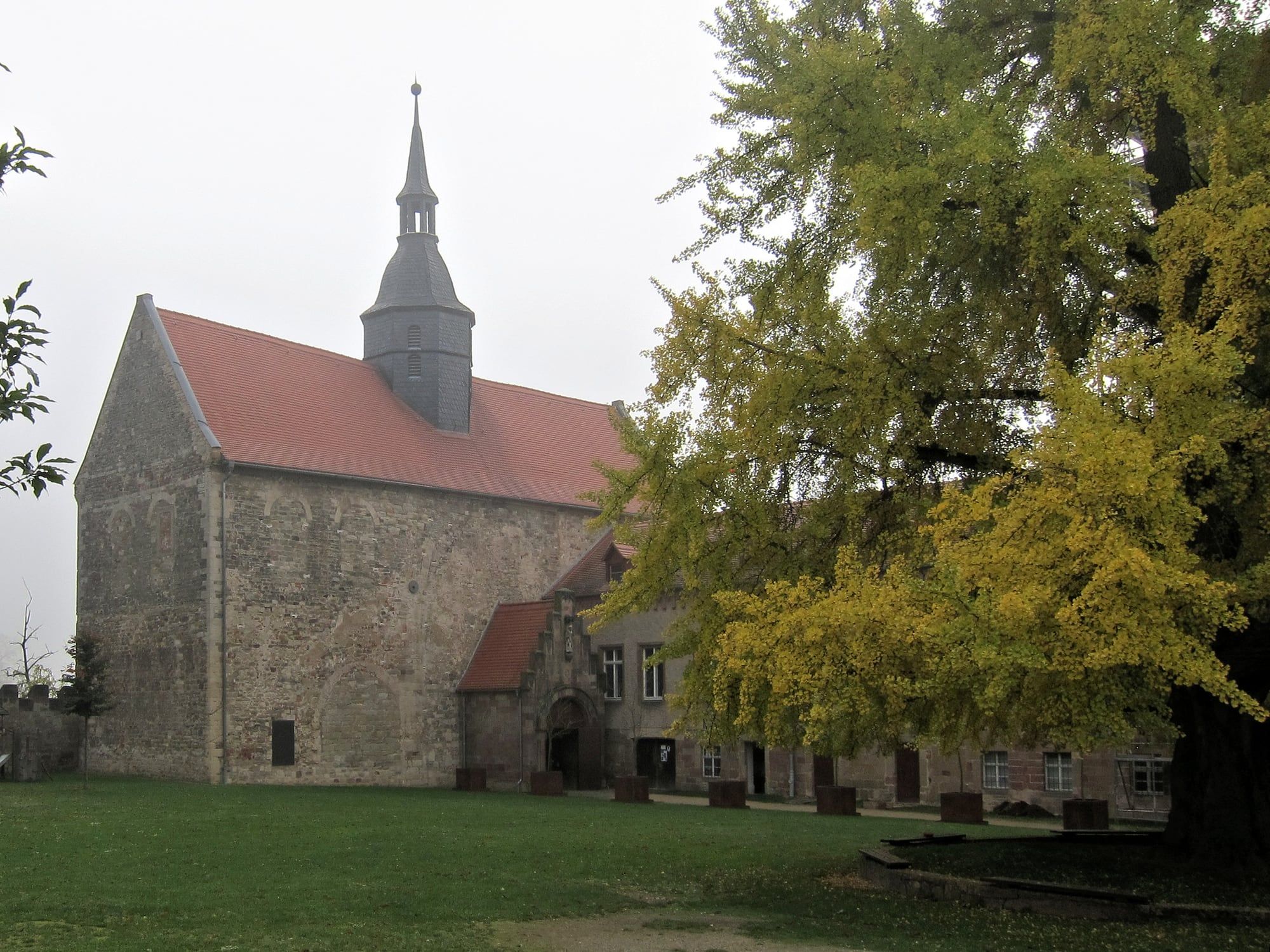 Schlosskirche und Ginkgo im Hof von Schloss Goseck